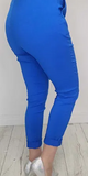 Italian-style Blue Pants with Belt | HAL-199-B