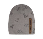 Boys' Beige Beanie with Dinosaur Pattern ~ 4-8 years | 48/084-A