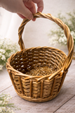 Oval Shaped Wicker Basket with Handle | S631