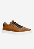 Wojas Men's Brown Leather Sneakers with Dark Blue Additions | 1016752