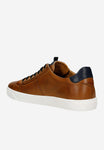 Wojas Men's Brown Leather Sneakers with Dark Blue Additions | 1016752