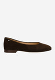 Wojas Dark Brown Velour Leather Ballet Flats with Godlen Logo | 4400362