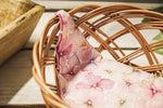 Round Shaped Wicker Bread Basket | 53449-Small